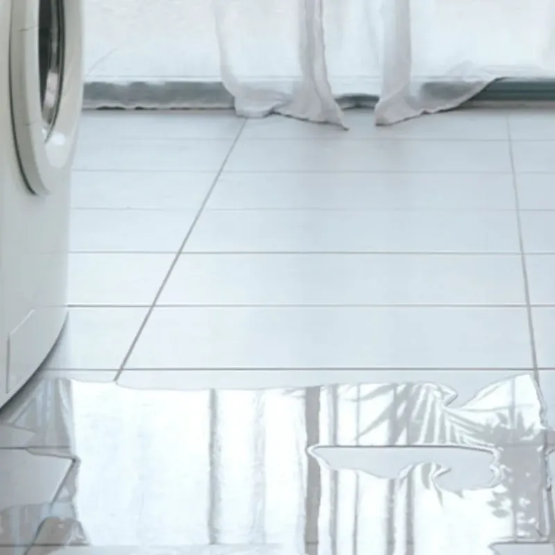 Appliance Leak Cleanup in Tacoma, WA